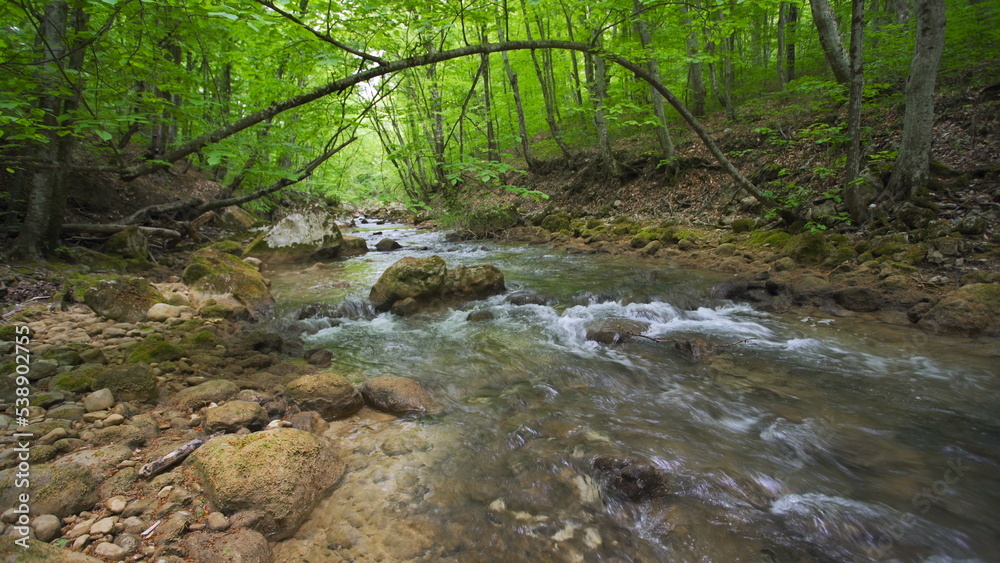 Stones and rocks covered by moss along water stream flowing through green summer forest