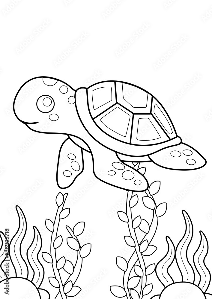 Turtle Underwater Animals Coloring Pages A4 for Kids and Adult