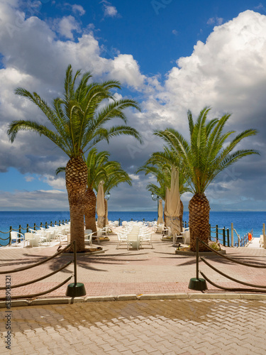 Beautiful palm trees Greek resort Loutra Edipsou on island Evia Euboea in Greece photo