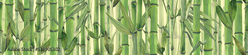 Stems, leaves and branches of bamboo on a light background. Watercolor illustration. Seamless horizontal board made of a large set of BAMBOO AND PANDA. For the design and decoration of banners