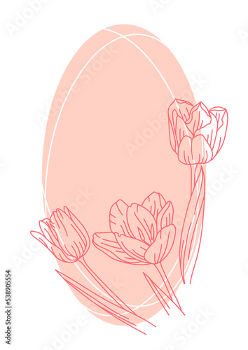 Background with tulip flowers. Beautiful decorative plants.