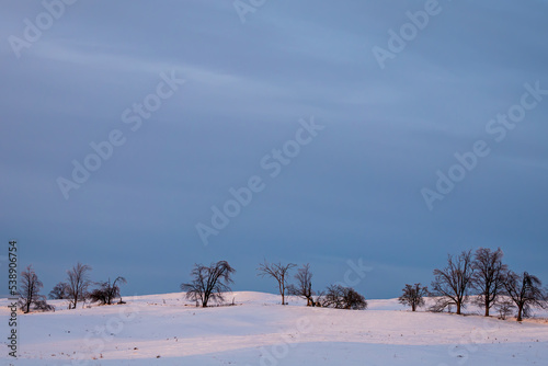 A Windswept Field in Caledon at Dusk of a Winter's Afternoon photo