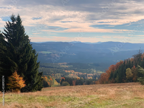 Golden autumn forest from a bird's eye view