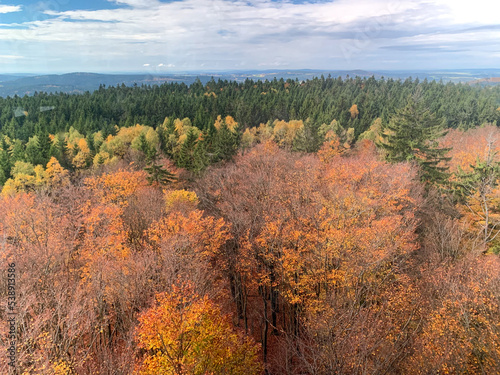 Golden autumn forest from a bird's eye view