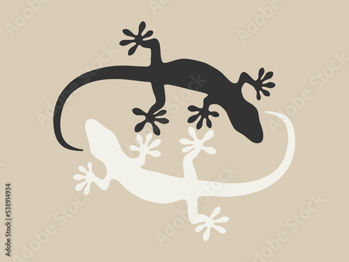  Geckos in black and white sandy background