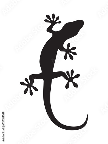 Gecko in dark color white background