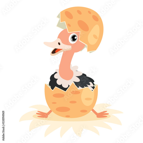 Cartoon Drawing Of An Ostrich