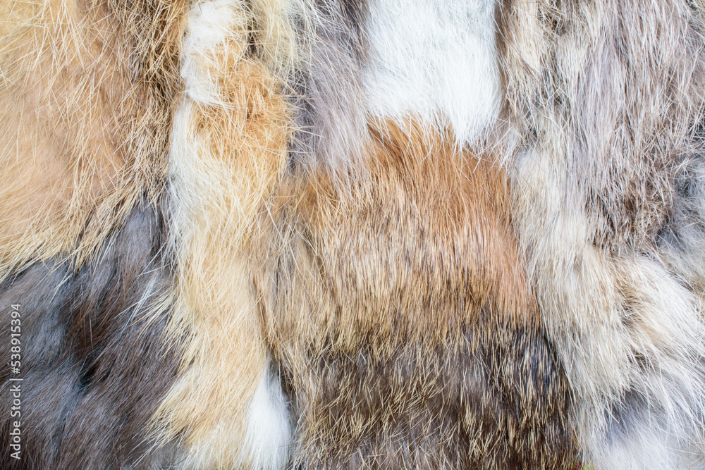 white and gray-brown wool texture close-up beautiful abstract fur background white and gray-brown wool texture close-up beautiful abstract fur background