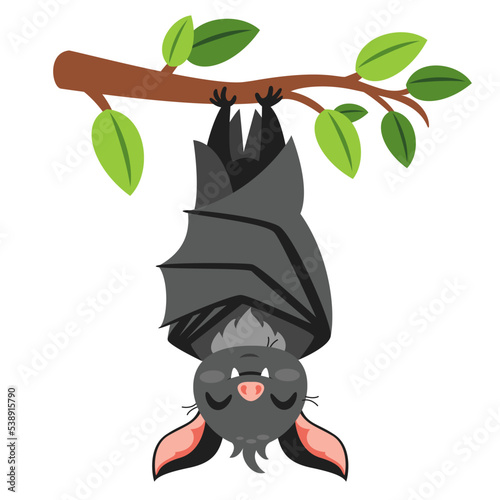 Cartoon Drawing Of A Bat