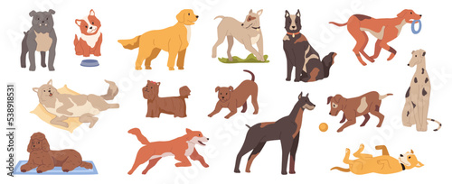 Fototapeta Naklejka Na Ścianę i Meble -  Puppies and grown dogs life, isolated canine animals with smooth fur playing and being active. Lifestyle of domestic pets at home. Vector in flat style