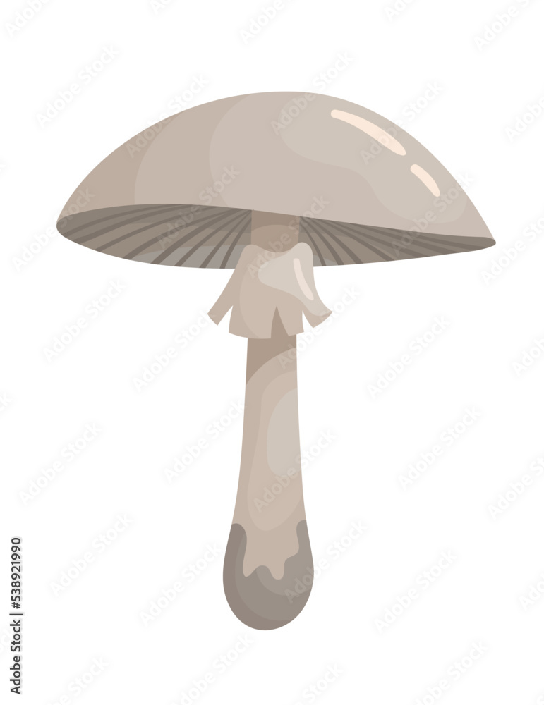 Grey mushrooms icon. Protein natural and fresh product. Autumn harvest. Plant or botany, flora. Poster or banner for website, graphic element for printing on fabric. Cartoon flat vector illustration Grey mushrooms icon. Protein natural and fresh product. Autumn harvest. Plant or botany, flora. Poster or banner for website, graphic element for printing on fabric. Cartoon flat vector illustration