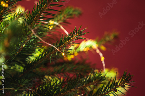 Christmas tree close up with led lights decoration on a red background. Asset for Christmas and New Year s Eve