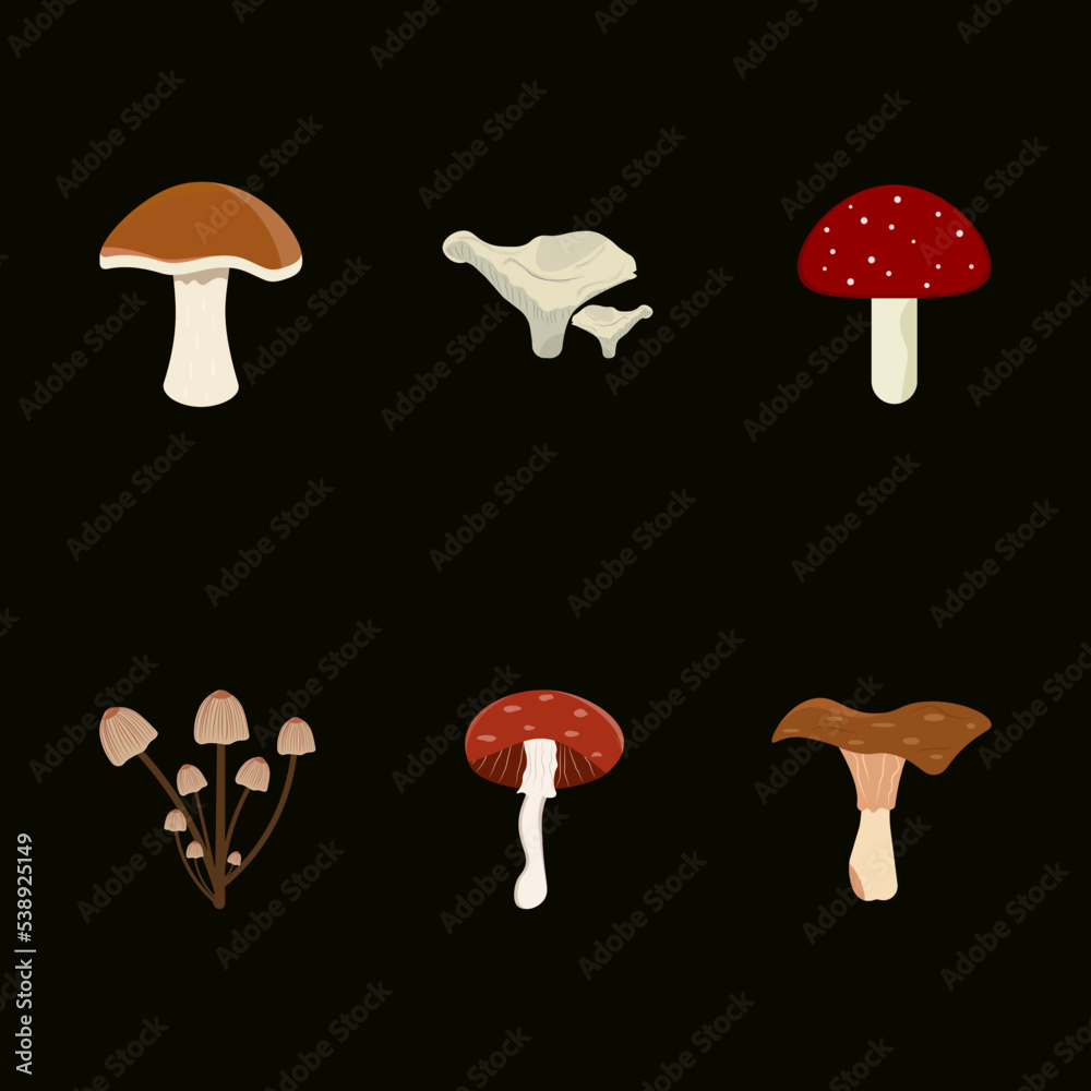 Set of mushrooms isolated on dark  background.Vector design