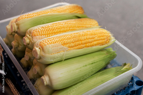 Ripe corn cobs
