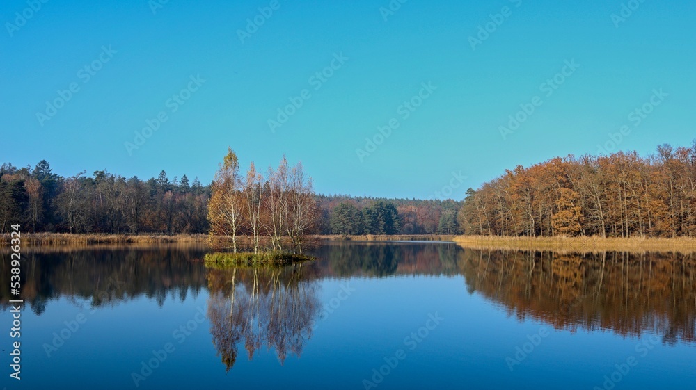 autumn in the park