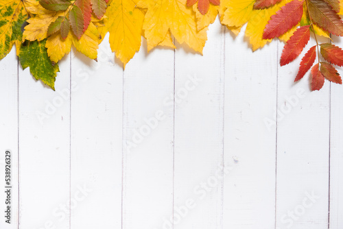 Multicolored autumn leaves on a wooden background. Copy space