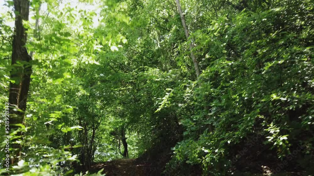 Slow motion of a fit young woman jogging on the narrow forest path. Workout and stress releaf concept Slow motion of a fit young woman jogging on the narrow forest path. Workout and stress releaf concept