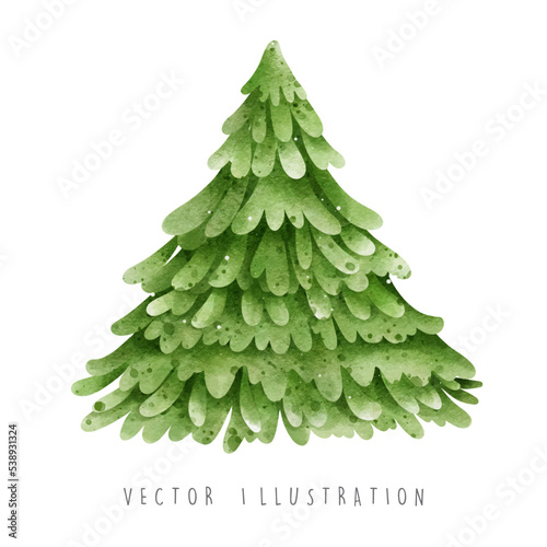 Christmas tree, pine tree vector illustration