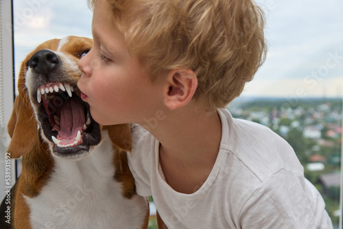 Foto Cute little boy tries to kiss the dog on the nose, the dog growls and grinds his teeth