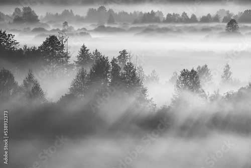 Mysterious Morning Time. Aerial View Amazing Misty Plain Landscape. Morning Fog Illuminated By Sun Covers Plain Landscape. Black And White Retro Bw Black White. Enchanted Morning Sun Shines On Plain. © Grigory Bruev