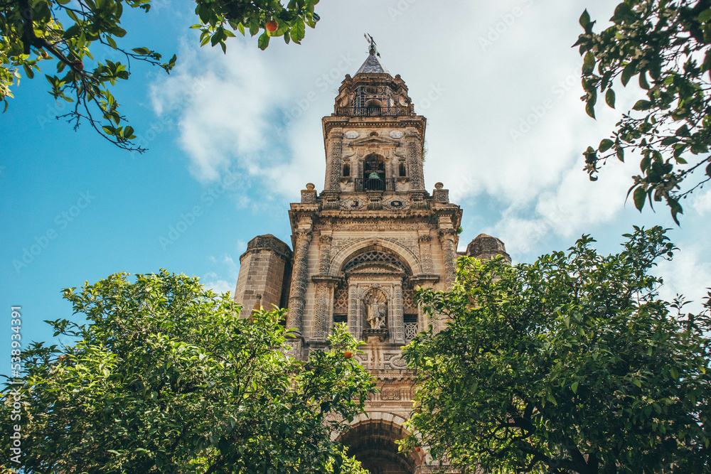 Profile angle of church surrounded by summer green orange trees in Jerez

