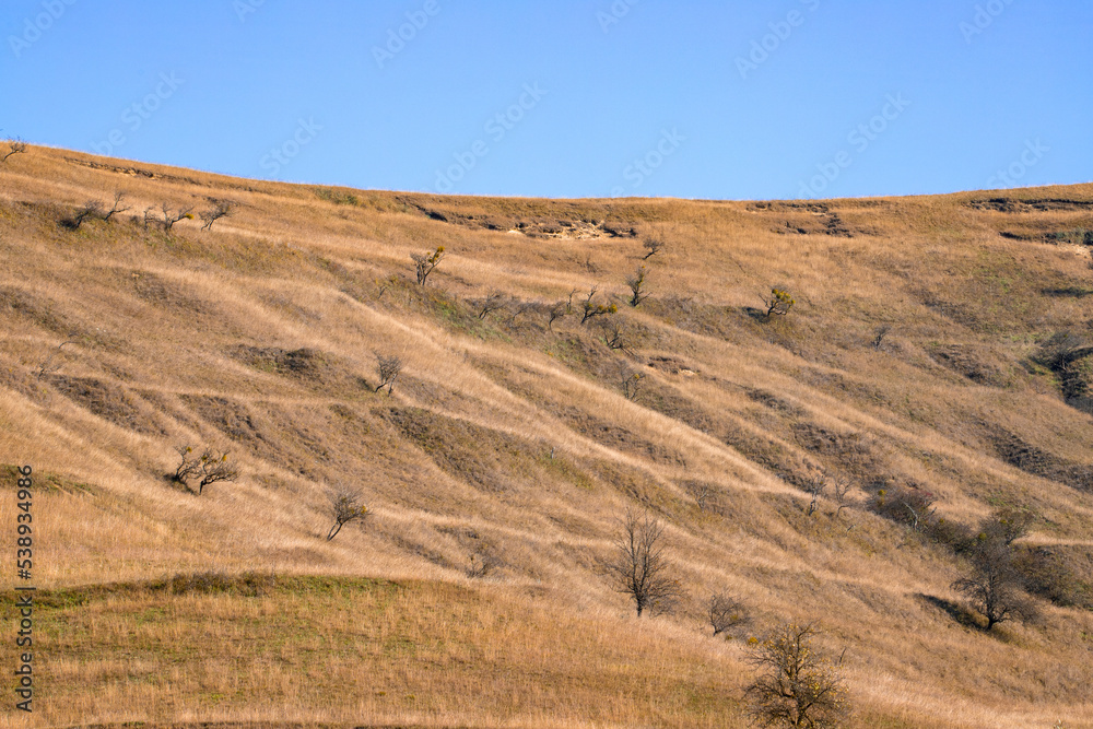 A hill with dry grass after the drought