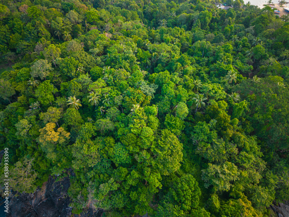 Aerial view mountain tropical rainforest with green various tree Aerial view mountain tropical rainforest with green various tree