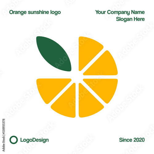 Orange fruit logo design Vector. Orange slice icon illustration design