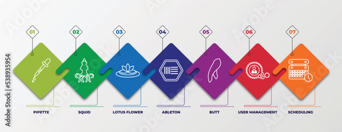 infographic template with outline icons. thin line icons such as pipette, squid, lotus flower, ableton, butt, user management, scheduling editable vector. can be used for web, mobile, info graph.