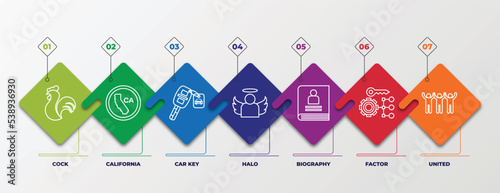 infographic template with outline icons. thin line icons such as cock, california, car key, halo, biography, factor, united editable vector. can be used for web, mobile, info graph.