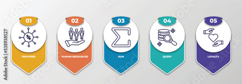 infographic template with outline icons. thin line icons such as provider, human resources, sum, query, loyalty editable vector. can be used for web, mobile, info graph.