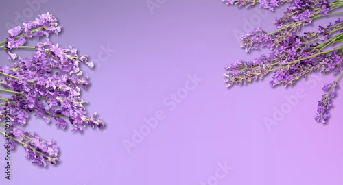 Fresh aroma lavender flowers on desk