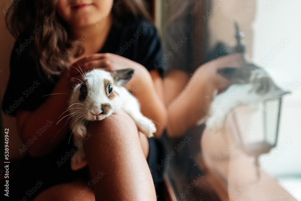 a girl sits on the window and holds a white rabbit with brown ears on her knees a girl sits on the window and holds a white rabbit with brown ears on her knees