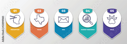 infographic template with outline icons. thin line icons such as perception, texas, msg, market research, wild editable vector. can be used for web, mobile, info graph.
