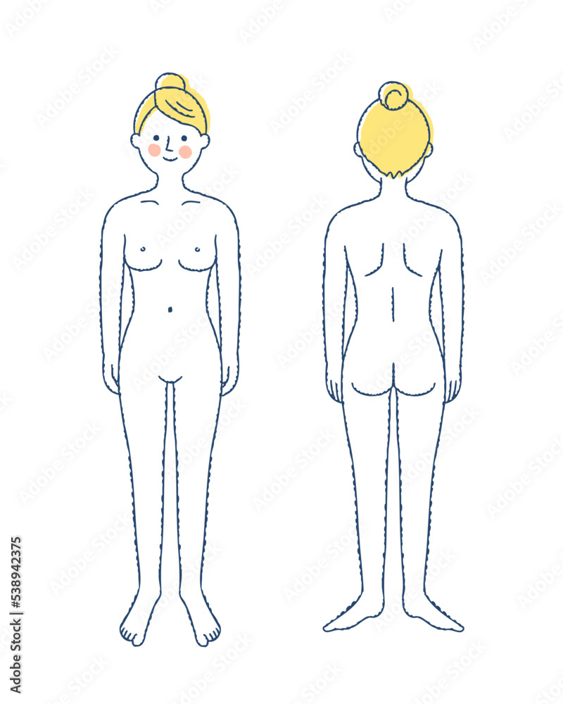 人体の正面と背面　女性