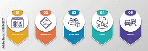 infographic template with outline icons. thin line icons such as date picker, cruelty free, manpower, jungle, transit editable vector. can be used for web, mobile, info graph.