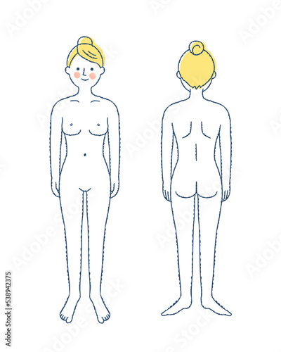 人体の正面と背面　女性