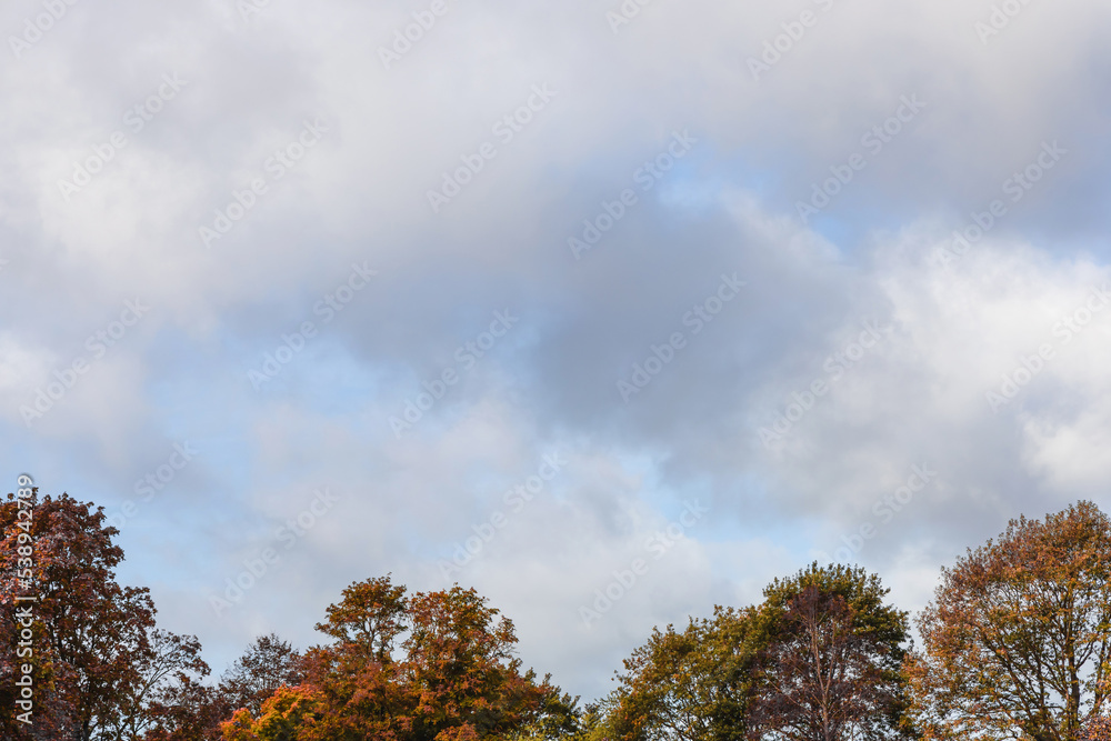 Tops of autumn trees against the sky with clouds. Tops of autumn trees against the sky with clouds.
