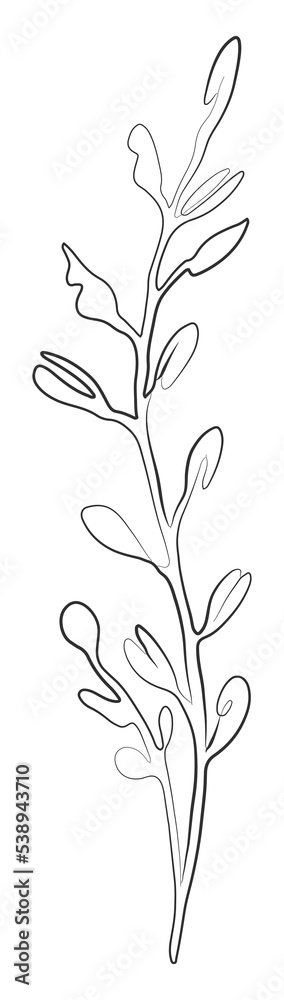 Hand drawn continuous line drawing of branch with leaves. Plants black sketch, aesthetic contour. Minimalist modern botanical prints, T-shirt design, packing, home decor, wall art posters. Png. Hand drawn continuous line drawing of branch with leaves. Plants black sketch, aesthetic contour. Minimalist modern botanical prints, T-shirt design, packing, home decor, wall art posters. Png.