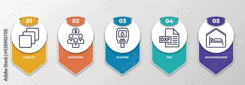 infographic template with outline icons. thin line icons such as overlay, investors, glucose, dxf, accomodation editable vector. can be used for web, mobile, info graph.