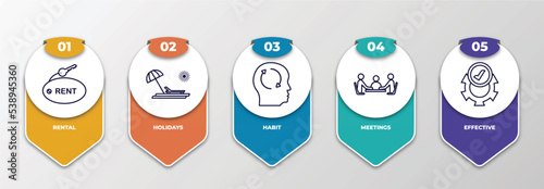 infographic template with outline icons. thin line icons such as rental, holidays, habit, meetings, effective editable vector. can be used for web, mobile, info graph.