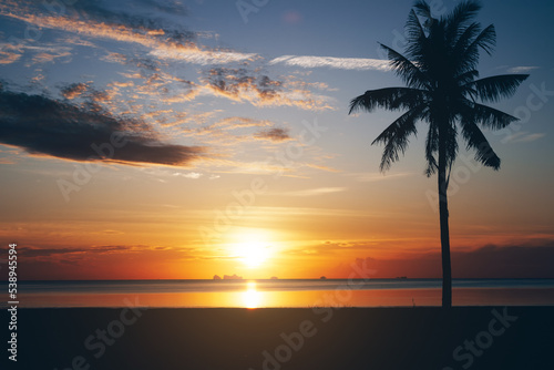 Dark silhouettes of palm trees and amazing cloudy sky on sunrise at tropical island in Indian Ocean. Coconut Tree with Beautiful and romantic sunrise. Koh Tao popular tourist destination in Thailand.