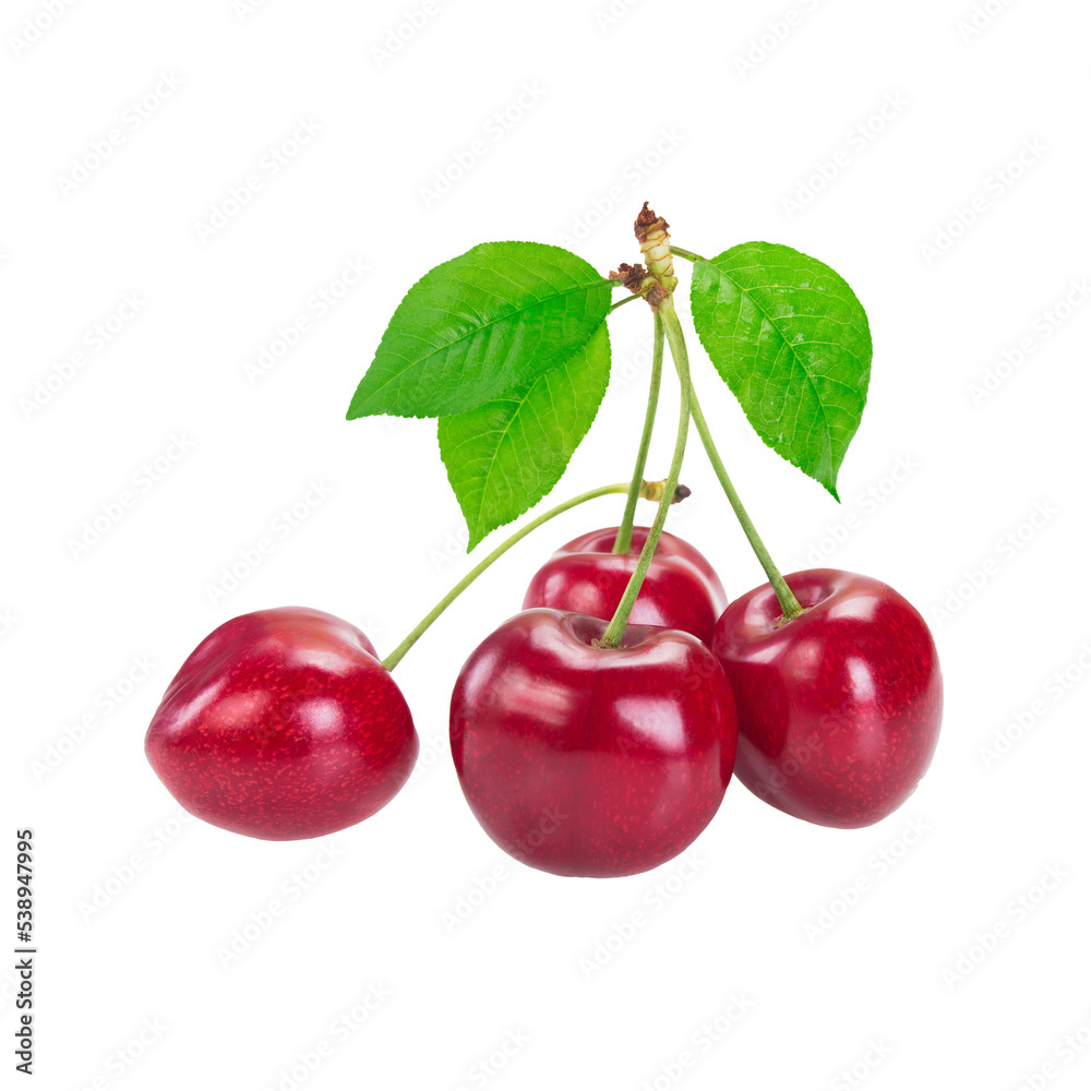 Cherry isolated on transparent background
Cherry isolated on transparent background