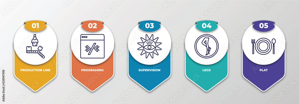 infographic template with outline icons. thin line icons such as production line, programing, supervision, legs, plat editable vector. can be used for web, mobile, info graph.