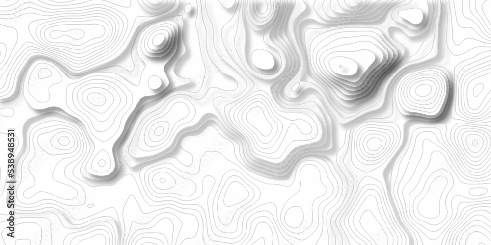 Topographic map background. silver line topography maount map contour background, geographic grid. Abstract vector illustration.	
