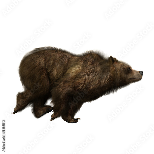 3D illustration of a brown bear running isolated on transparent background. photo