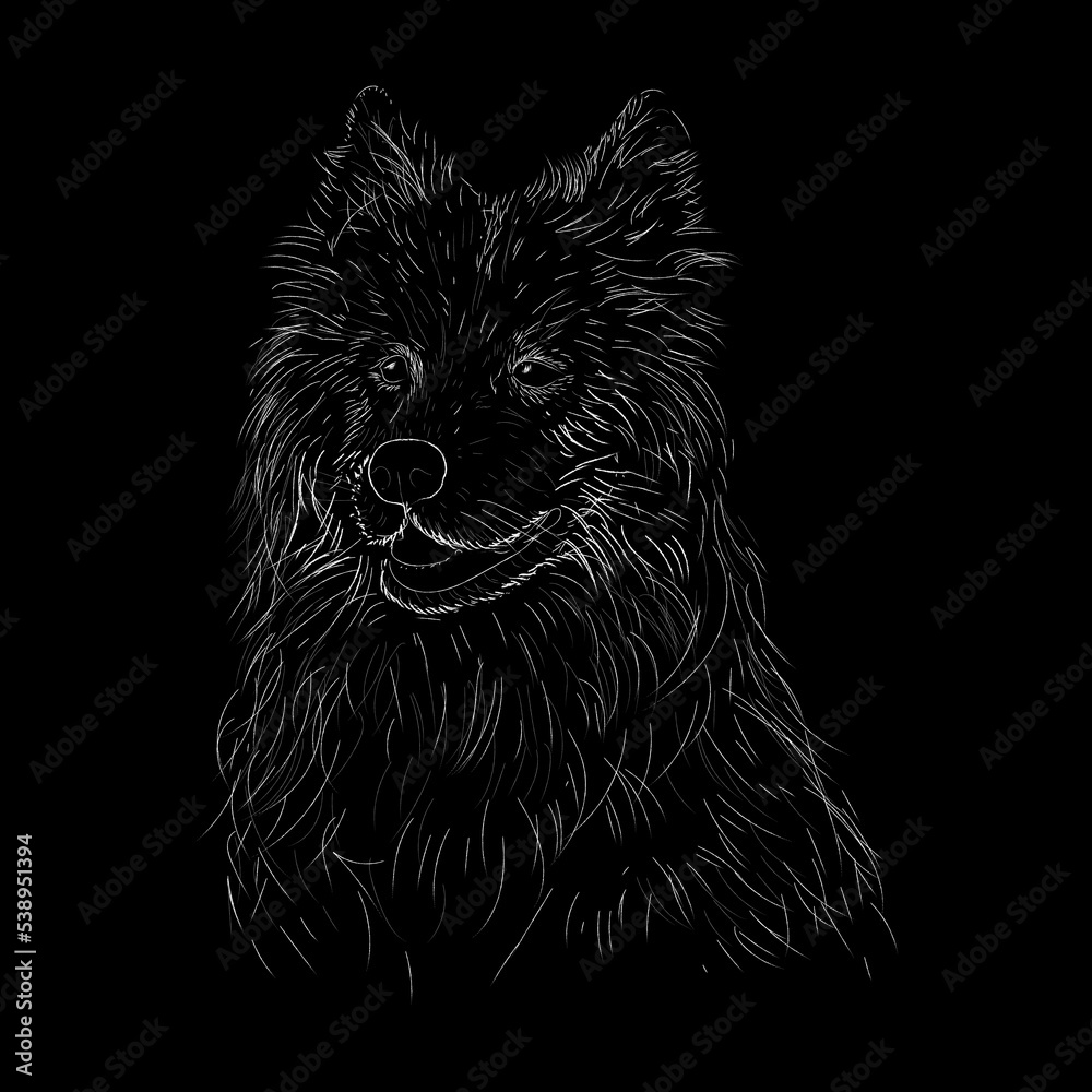 Naklejka premium SAMOYED