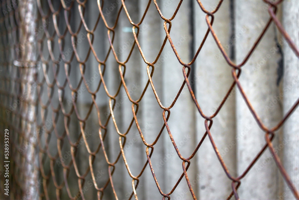 Fototapeta premium Chain-link mesh, lattice fence. mesh fence.