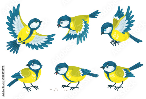 Set of six funny colorful titmouse in different poses. They sit, fly and peck. In cartoon style. Isolated on white background. Vector flat illustration.