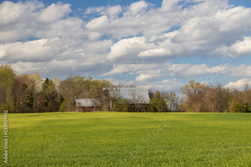 Barn in the field on a sunny day